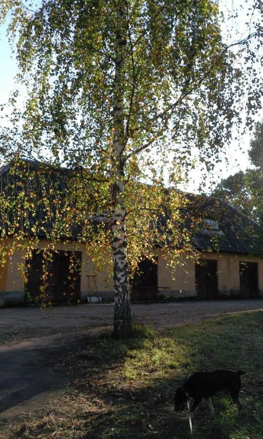 Hommik House Villa Otepää Buitenkant foto